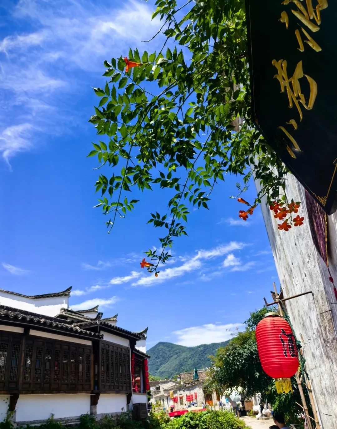 1727230894431105.jpg bcbecc3f-5e5c-41af-a543-4be62540fcb0.jpg